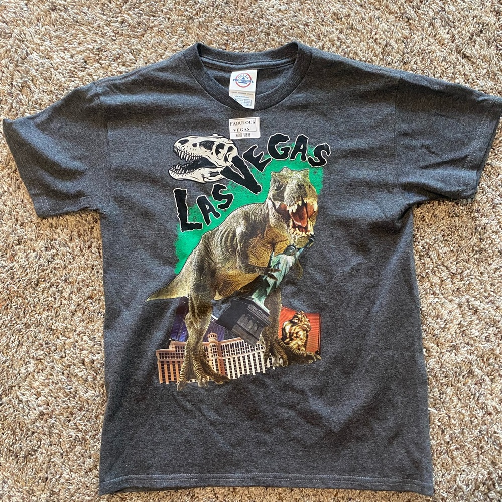 Boys Dino shirt size M NWT